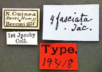 Media type: image; Entomology 19418   Aspect: labels